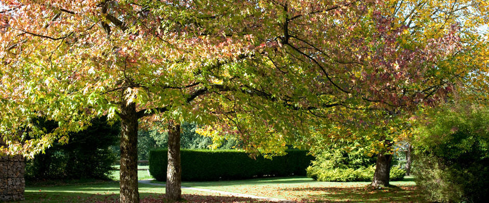 The Manoir du Lys ★★★★ - A treasure trove in the Normandy countryside. - Normandy, France