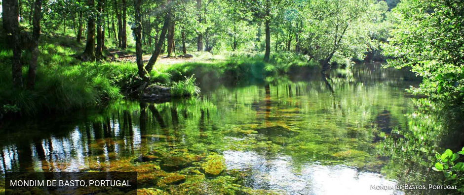 Agua Hotels Mondim de Bastos ★★★★ - Escape into nature at this luxurious resort in the wonderfully wild Portuguese countryside. - Vila Real District, Portugal