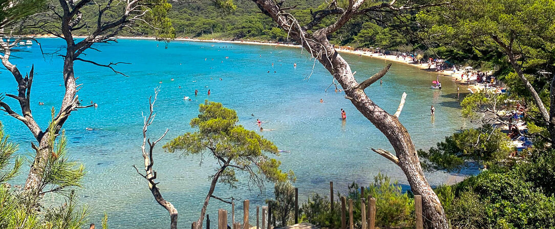 La Résidence du Bailli - Un superbe appartement rien que pour soi dans la nature du Golfe de Saint-Tropez. - Var, France