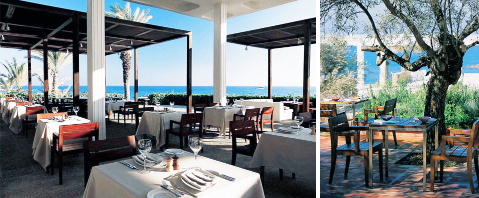 Almyra ★★★★★ - Sunshine, simple luxuries and fabulous food by the Mediterranean Sea. - Paphos, Cyprus