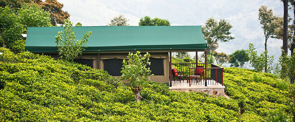 Madulkelle Tea Eco Lodge ★★★★ - Dépaysement garanti au cœur du Sri Lanka - Kandy, Sri Lanka