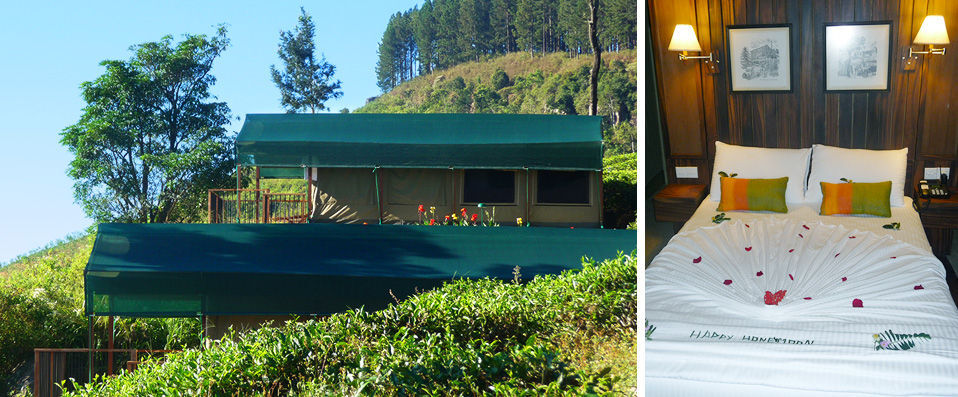 Madulkelle Tea Eco Lodge ★★★★ - Dépaysement garanti au cœur du Sri Lanka - Kandy, Sri Lanka