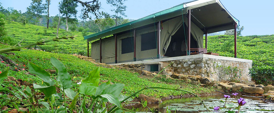 Madulkelle Tea Eco Lodge ★★★★ - Dépaysement garanti au cœur du Sri Lanka - Kandy, Sri Lanka