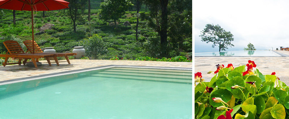Madulkelle Tea Eco Lodge ★★★★ - Dépaysement garanti au cœur du Sri Lanka - Kandy, Sri Lanka