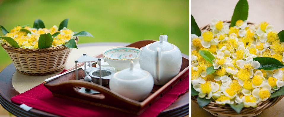 Madulkelle Tea Eco Lodge ★★★★ - Dépaysement garanti au cœur du Sri Lanka - Kandy, Sri Lanka