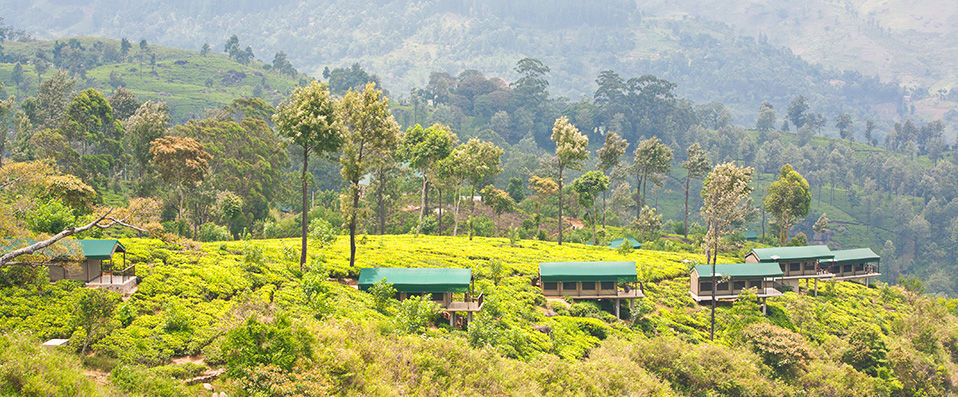 Madulkelle Tea Eco Lodge ★★★★ - Dépaysement garanti au cœur du Sri Lanka - Kandy, Sri Lanka