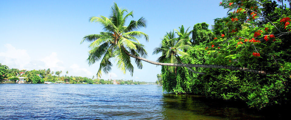 Centara Ceysands ★★★★ - An all-inclusive haven in Sri Lanka. - Bentota, Sri Lanka