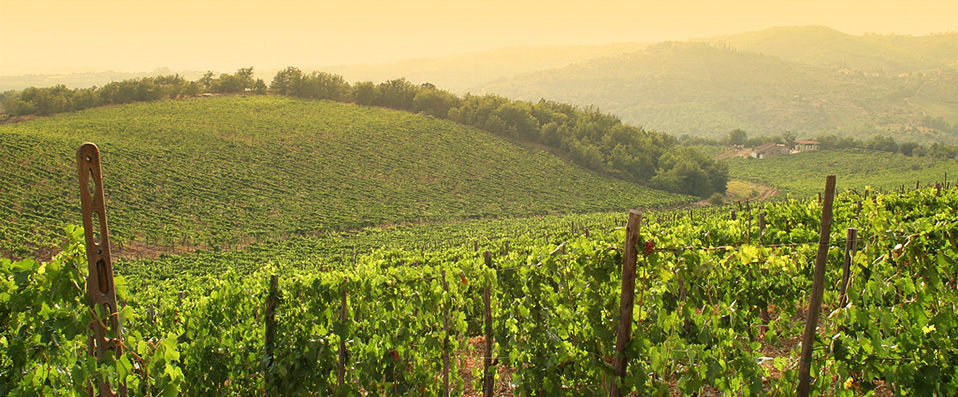 Castello di Tornano ★★★★ - La vie de château au cœur de la Toscane. - Sienne, Italie