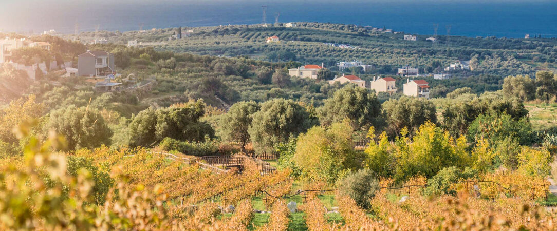 Caramel, A Grecotel Resort to Live ★★★★★ - Séjour de rêve au bord de la mer Égée. - Crète, Grèce