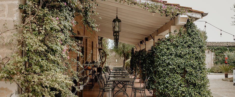 Masseria Baroni Nuovi - Natural happiness in Apulia. - Puglia, Italy