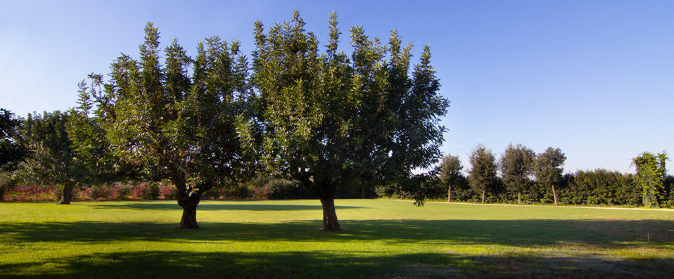Masseria Baroni Nuovi - Natural happiness in Apulia. - Puglia, Italy