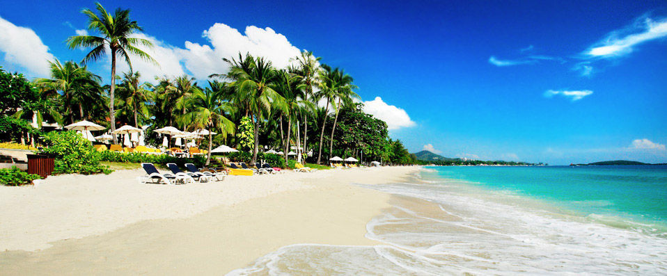 Centara grand Beach resort Samui ★★★★★ - Cinq étoiles grand Luxe pour une évasion enchanteresse - Koh samui, Thailande
