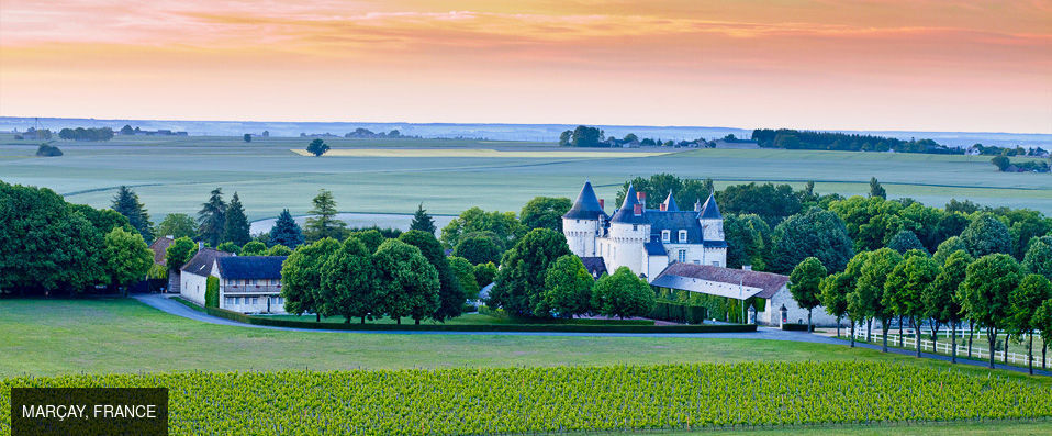 Château de Marçay ★★★★ - Regal, rustic, romantic retreat in France’s Valley of Kings. - Loire Valley, France