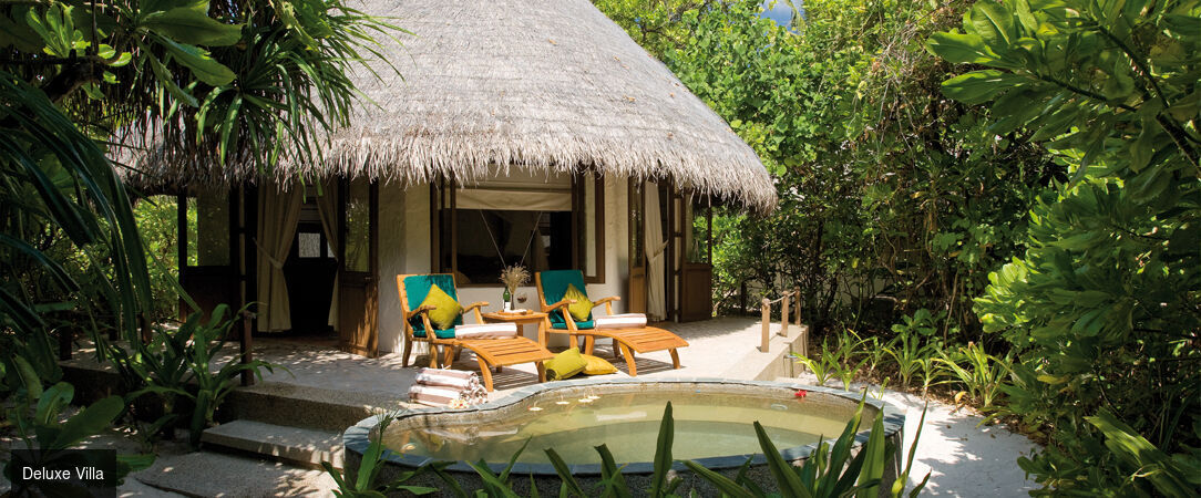 Dhigufaru Island Resort ★★★★★ - Quatre étoiles au cœur de l’océan Indien. - Maldives