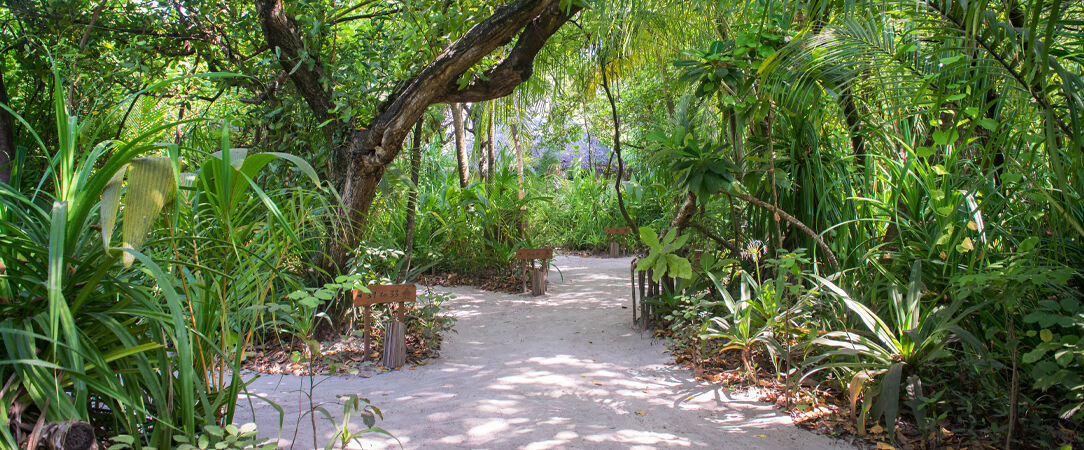 Dhigufaru Island Resort ★★★★★ - Quatre étoiles au cœur de l’océan Indien. - Maldives