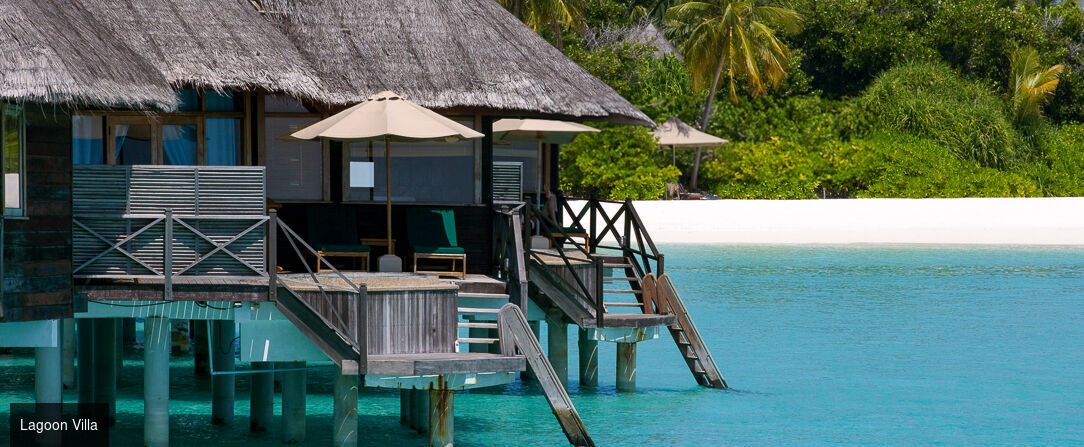 Coco Palm Dhuni Kolhu ★★★★ - Quatre étoiles au cœur de l’océan Indien. - Maldives