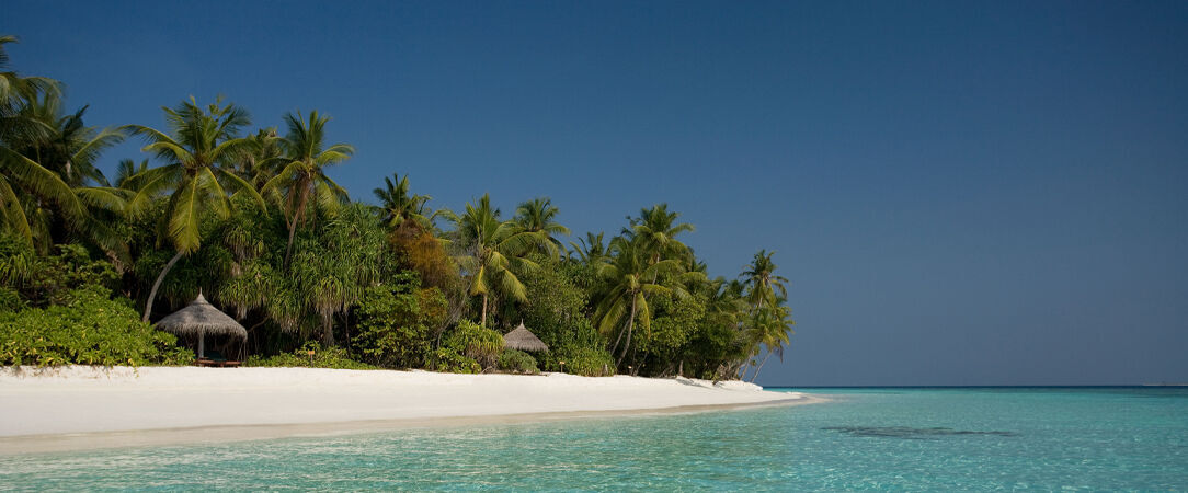 Coco Palm Dhuni Kolhu ★★★★ - Quatre étoiles au cœur de l’océan Indien. - Maldives