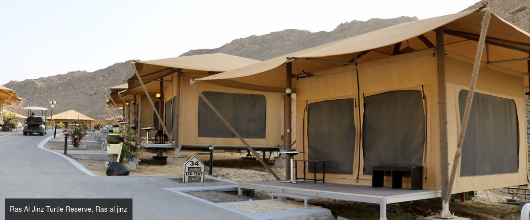 Circuit privatif : Parfums d'Orient à Oman - Oman, terre fascinante. - Oman