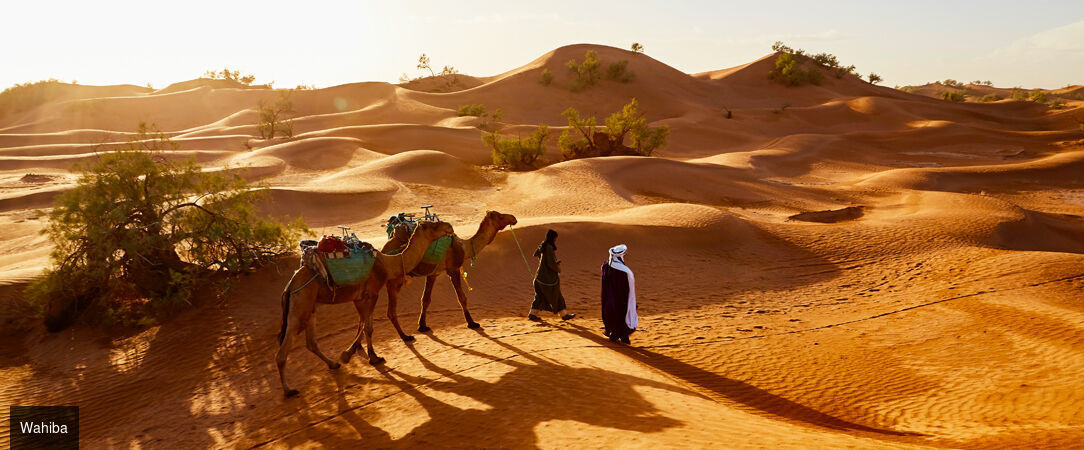 Circuit privatif : Parfums d'Orient à Oman - Oman, terre fascinante. - Oman