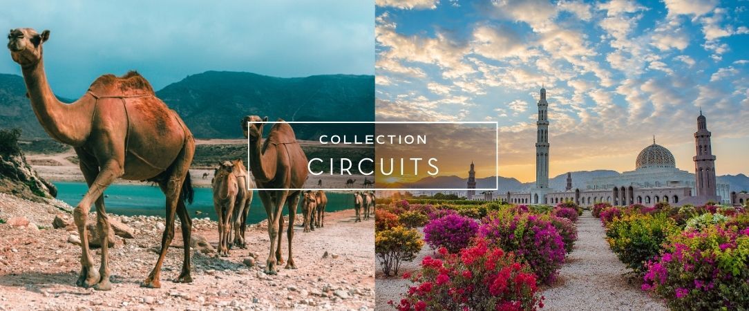 Circuit privatif : Parfums d'Orient à Oman - Oman, terre fascinante. - Oman