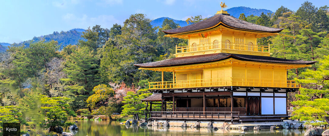 Circuit : plongée intense au cœur du Japon - Découverte du Japon entre Tokyo, Kyoto et un monastère traditionnel. - Japon