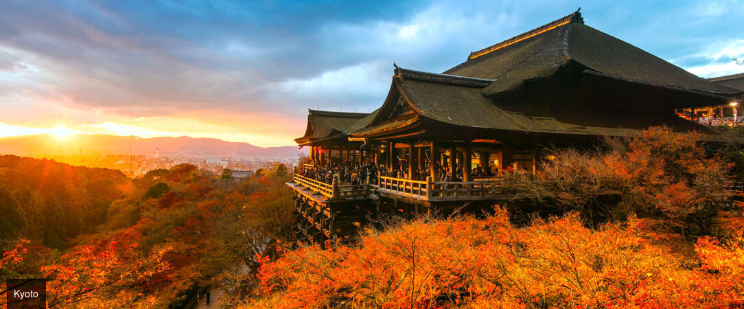 Circuit : plongée intense au cœur du Japon - Découverte du Japon entre Tokyo, Kyoto et un monastère traditionnel. - Japon