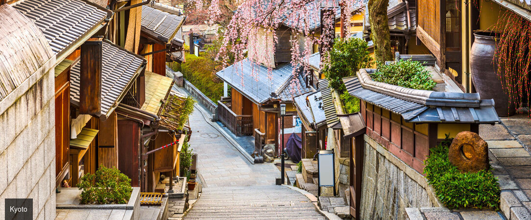 Circuit : plongée intense au cœur du Japon - Découverte du Japon entre Tokyo, Kyoto et un monastère traditionnel. - Japon