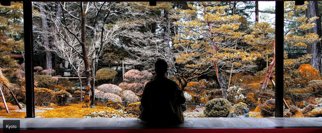 Circuit : plongée intense au cœur du Japon - Découverte du Japon entre Tokyo, Kyoto et un monastère traditionnel. - Japon