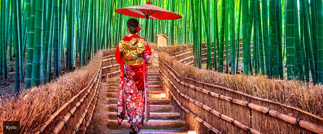 Circuit : plongée intense au cœur du Japon - Découverte du Japon entre Tokyo, Kyoto et un monastère traditionnel. - Japon