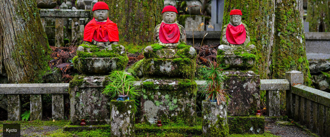 Circuit : plongée intense au cœur du Japon - Découverte du Japon entre Tokyo, Kyoto et un monastère traditionnel. - Japon