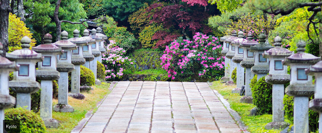 Circuit : plongée intense au cœur du Japon - Découverte du Japon entre Tokyo, Kyoto et un monastère traditionnel. - Japon