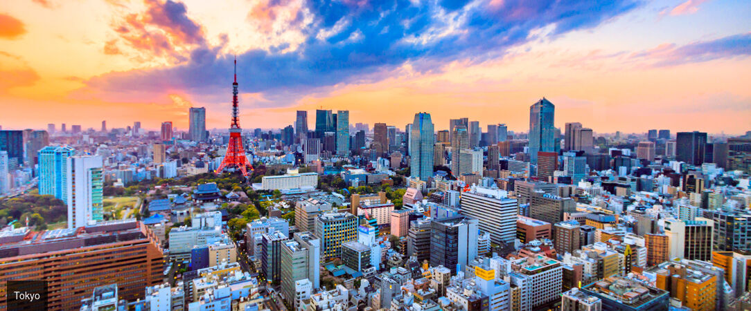 Circuit : plongée intense au cœur du Japon - Découverte du Japon entre Tokyo, Kyoto et un monastère traditionnel. - Japon