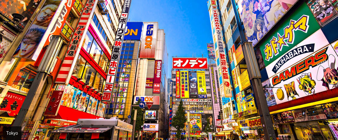 Circuit : plongée intense au cœur du Japon - Découverte du Japon entre Tokyo, Kyoto et un monastère traditionnel. - Japon