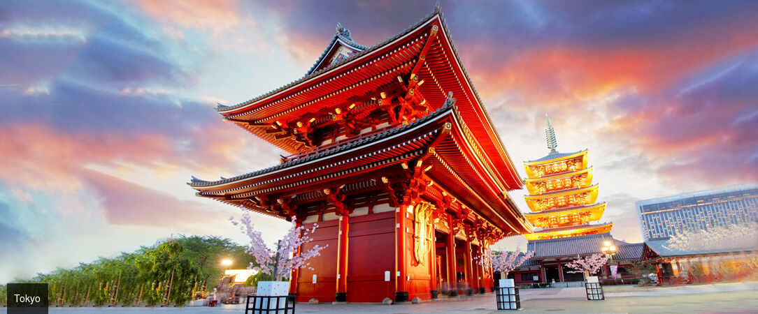 Circuit : plongée intense au cœur du Japon - Découverte du Japon entre Tokyo, Kyoto et un monastère traditionnel. - Japon