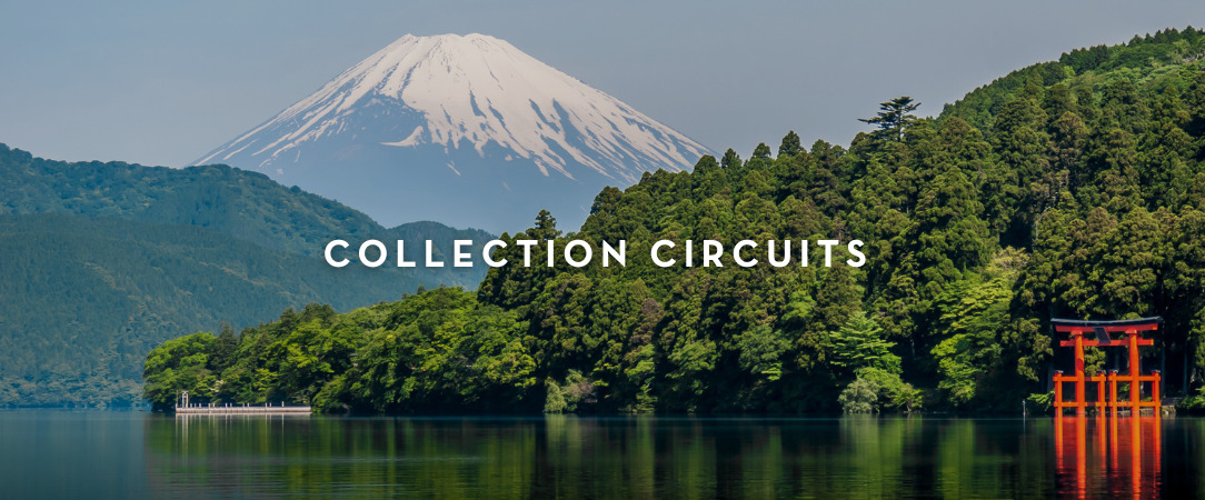 Circuit : plongée intense au cœur du Japon - Découverte du Japon entre Tokyo, Kyoto et un monastère traditionnel. - Japon