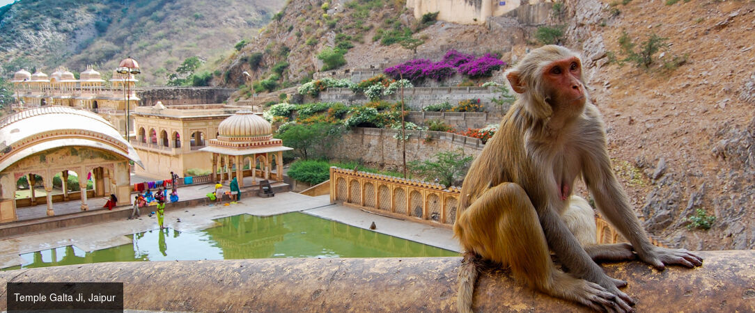 Triangle d’Or & spiritualités d’Orient -  - Inde : Delhi, Japur & Agra