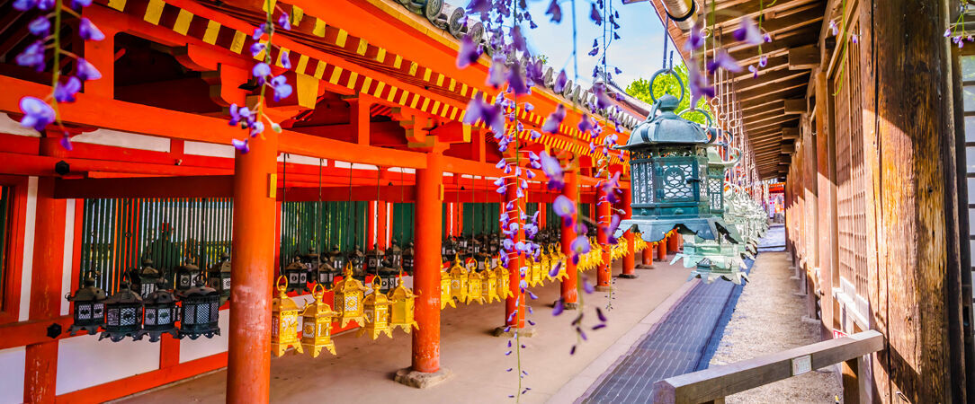 Circuit privatif : Escapade nippone de Tokyo à Osaka - Superbe périple & fabuleuse immersion au Japon. - Japon