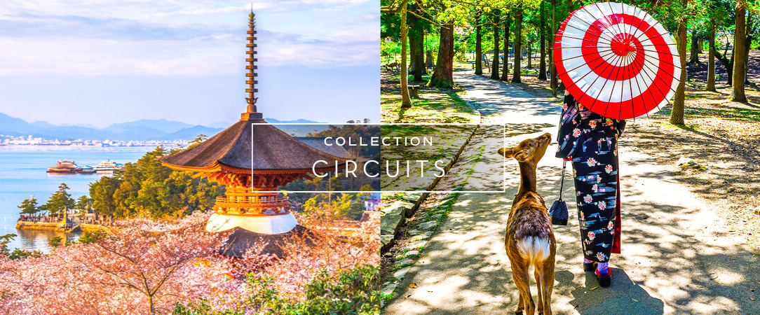 Circuit privatif : Escapade nippone de Tokyo à Osaka - Superbe périple & fabuleuse immersion au Japon. - Japon