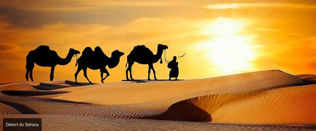 Circuit privatif : Grand Tour Impérial du Maroc avec aventure dans le désert -  - Maroc