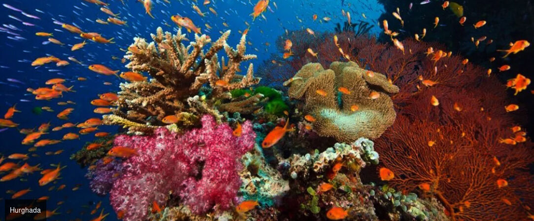 Merveilles d’Égypte & détente à Hurghada - Circuit prestigieux de 11 ou 13 nuits entre les Légendes de l’Égypte, une croisière sur le Nil & la mer Rouge à Hurghada. - Égypte : Hurghada, Louxor et le Caire