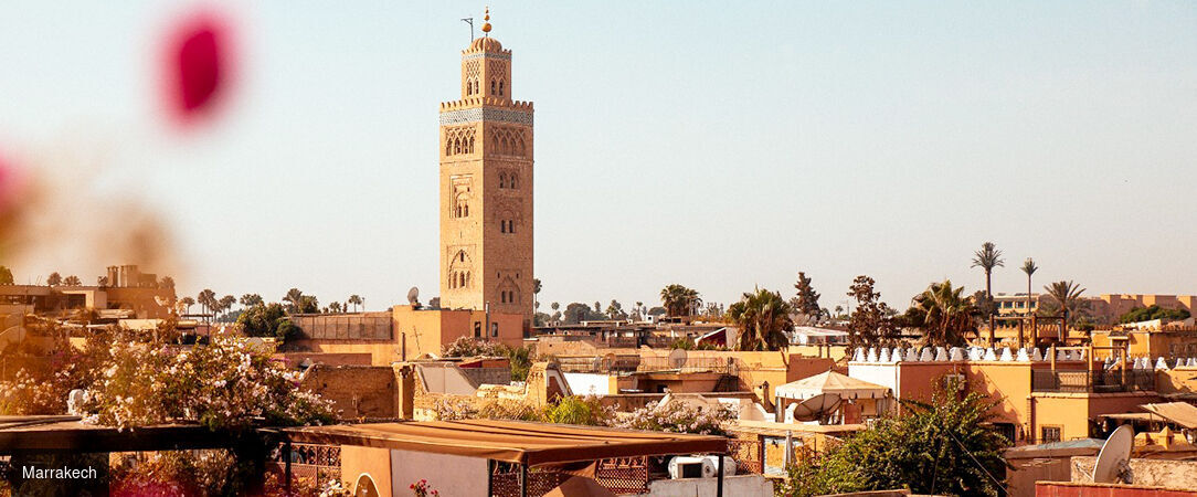 Circuit privatif : De Marrakech au désert d'Agafay avec extension à Essaouira - Escapade privée au cœur des beautés culturelles et naturelles du Maroc. - Maroc