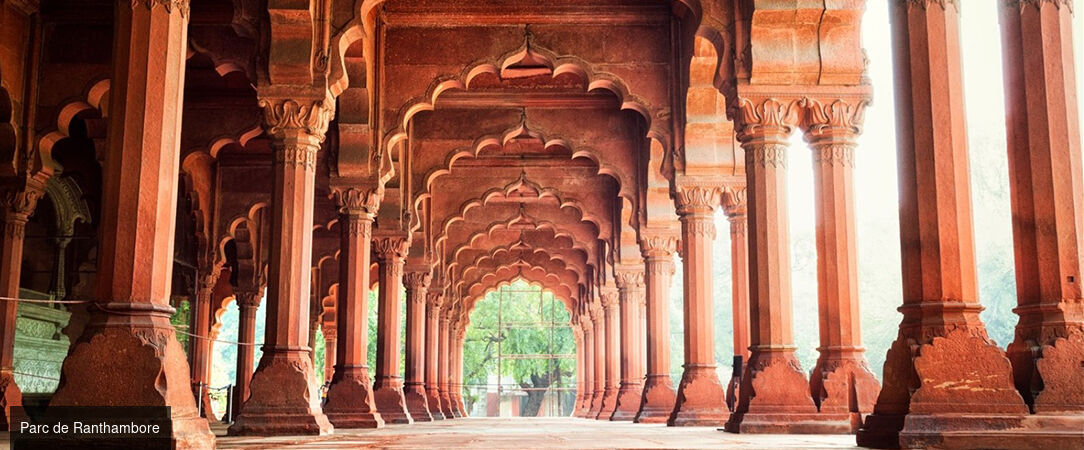 Circuit privatif : des Forts et temples du Rajasthan au Parc de Ranthambore et ses tigres -  - Inde