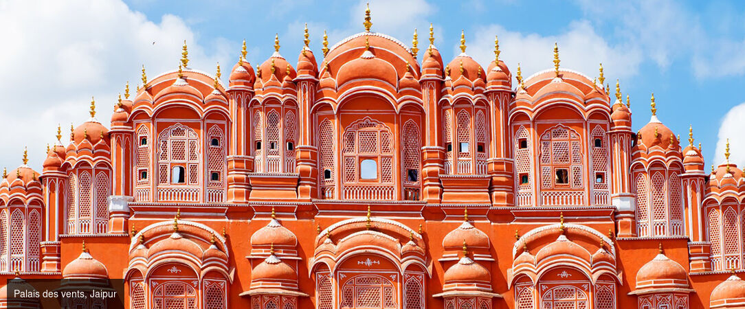 Circuit privatif : des Forts et temples du Rajasthan au Parc de Ranthambore et ses tigres -  - Inde