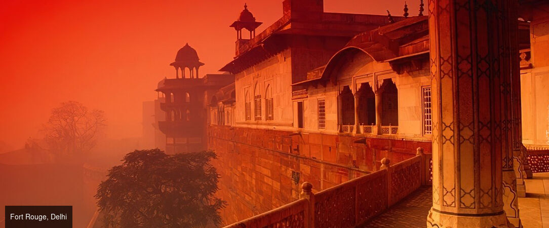 Circuit privatif : des Forts et temples du Rajasthan au Parc de Ranthambore et ses tigres -  - Inde