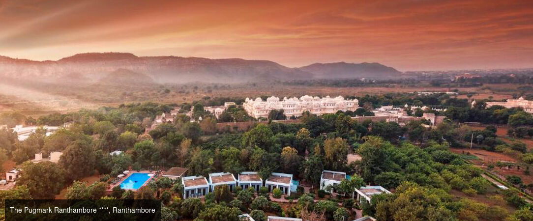 Des temples du Rajasthan aux tigres de Ranthambore -  - Inde