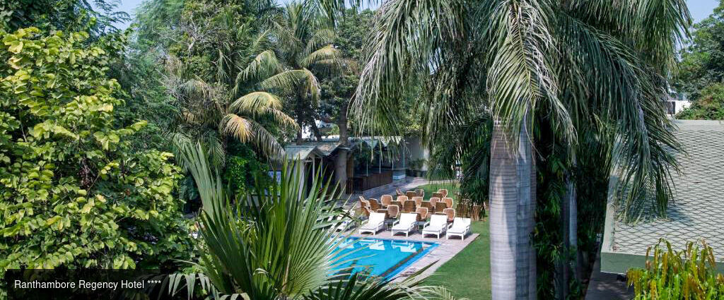 Des temples du Rajasthan aux tigres de Ranthambore -  - Inde