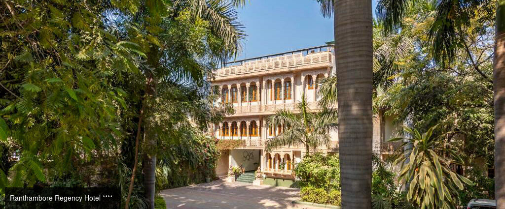 Des temples du Rajasthan aux tigres de Ranthambore -  - Inde