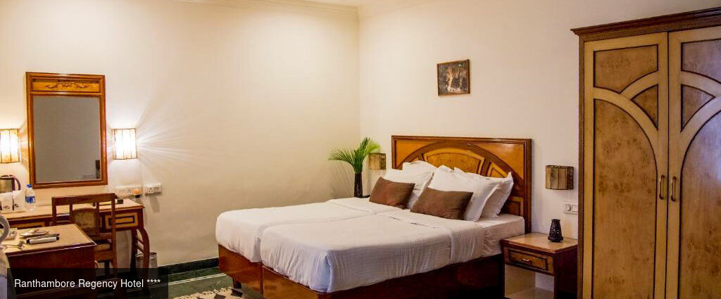 Des temples du Rajasthan aux tigres de Ranthambore -  - Inde