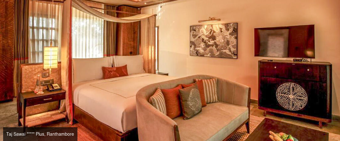 Des temples du Rajasthan aux tigres de Ranthambore -  - Inde