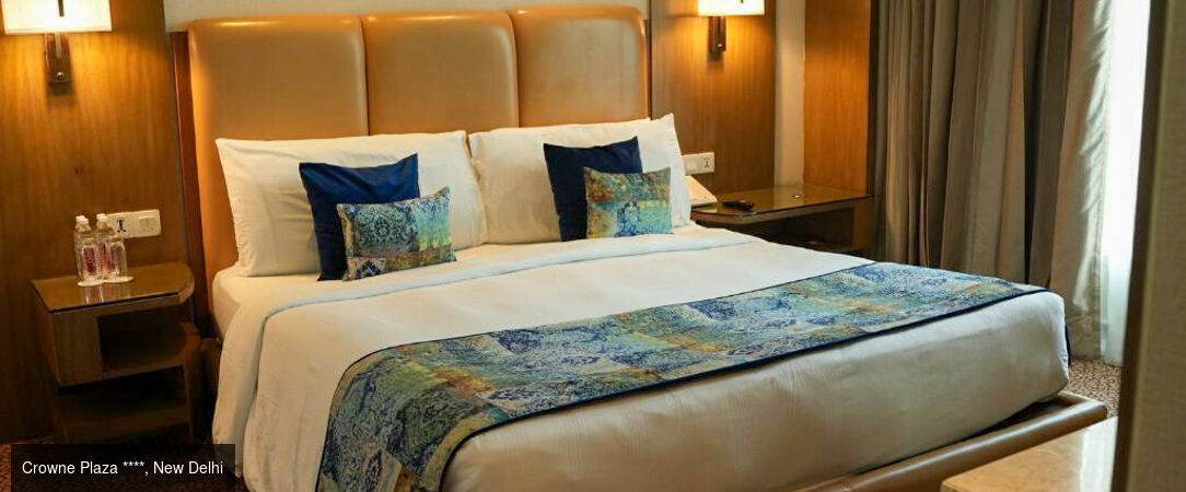 Des temples du Rajasthan aux tigres de Ranthambore -  - Inde